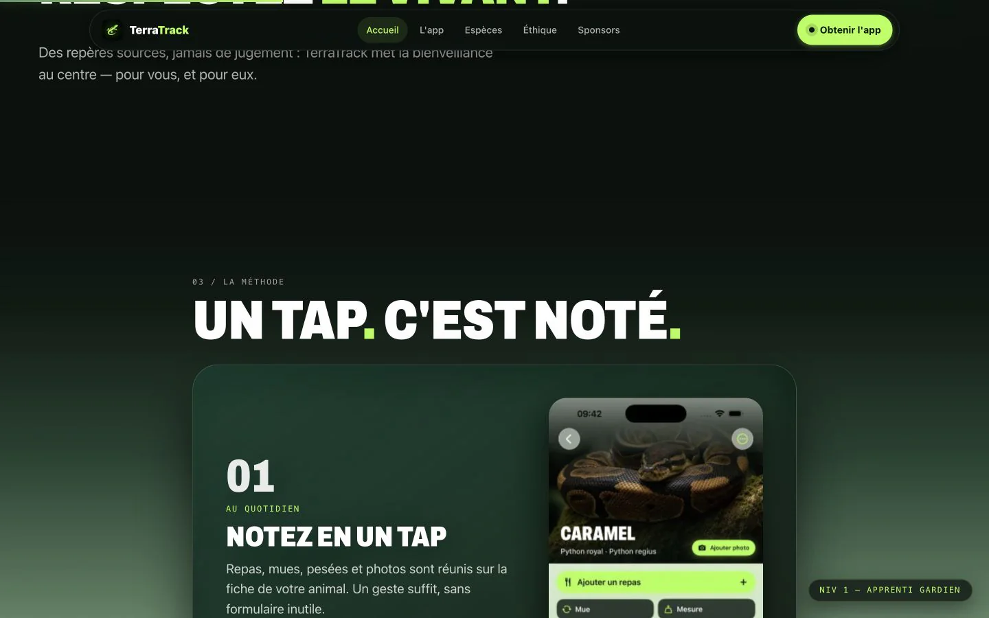 Concept et positionnement du site