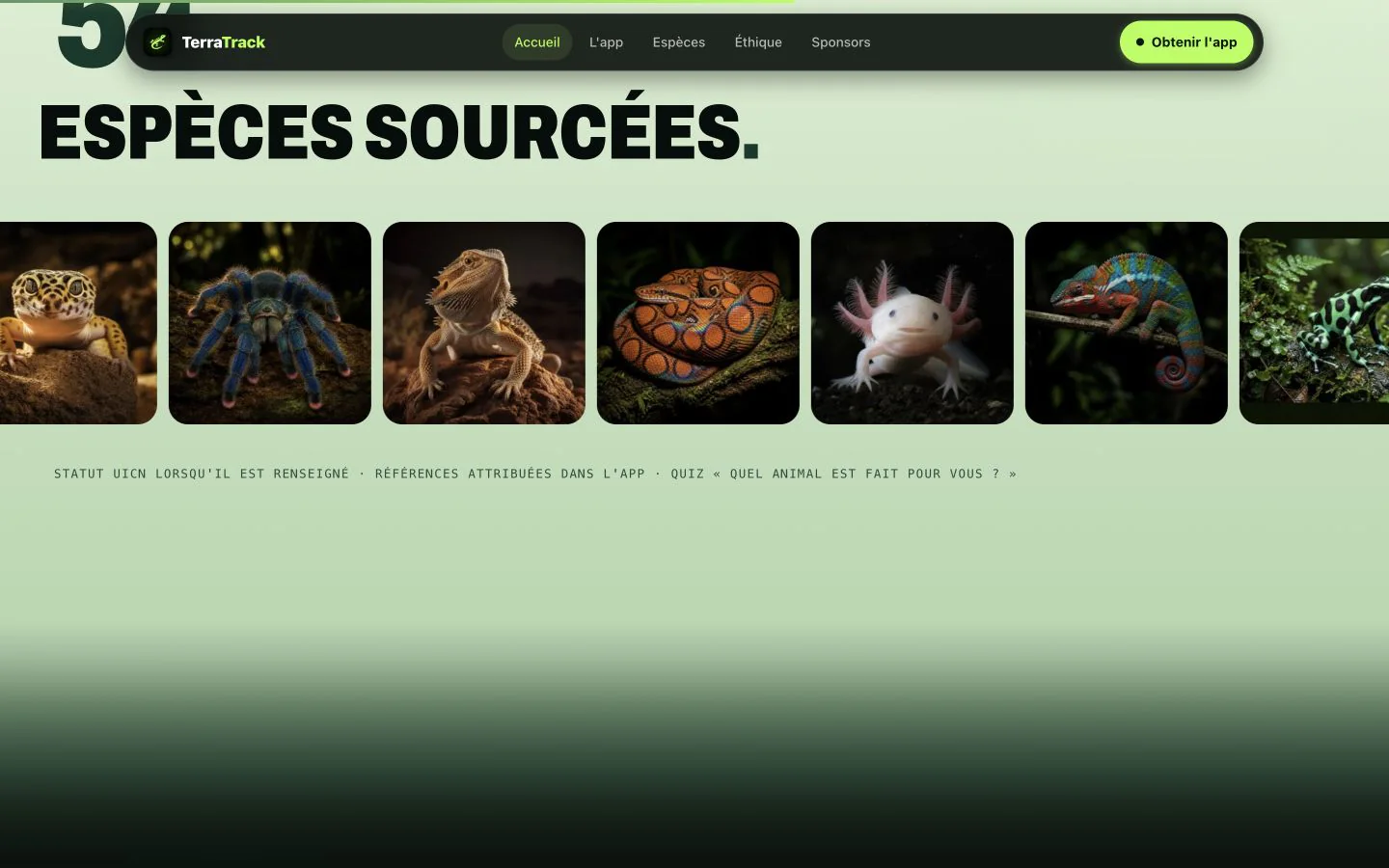 Détail d’interface et de mise en page